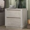 Modern Style Soild Wood 2-Drawer Nightstand Side Table for Bedroom; Living Room; Stone Gray