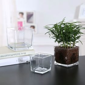 Transparent Glass Square Glass Vase Square Cylinder Fangkou Square Succulent Flower Pot Home Decoration Put Hydroponic Vase (size: 10*10)